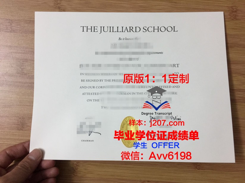 罗斯托夫国立音乐学院毕业证外壳(罗斯托夫国立建筑与艺术学院)