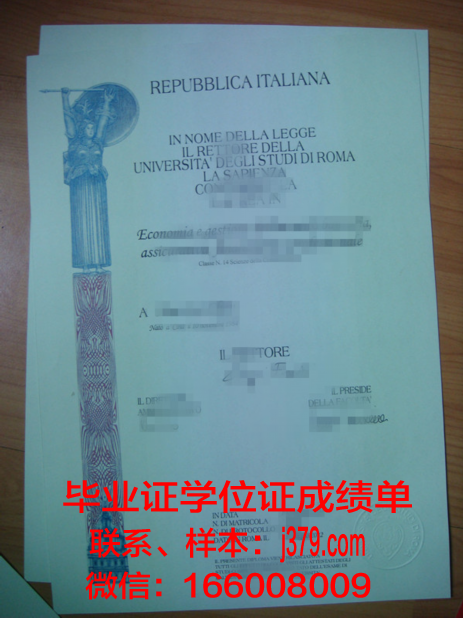 罗马大学毕业证图片大全(罗马大学怎么样)