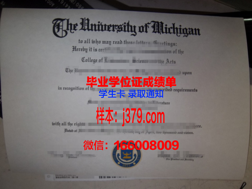 巴科路桥硕士毕业证：跨越学术与职业的桥梁