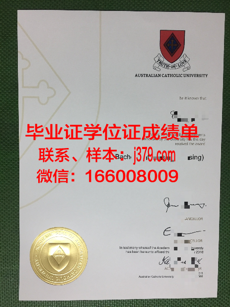 巴拉那天主教大学博士毕业证：一份跨越国度的学术荣耀