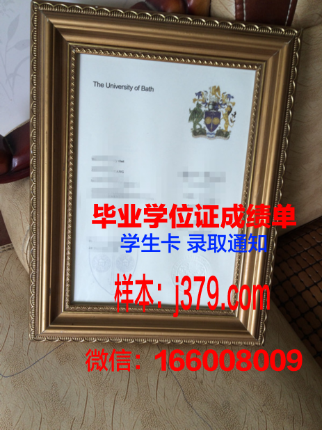巴斯大学申请需要高中毕业证吗(巴斯大学入学条件)