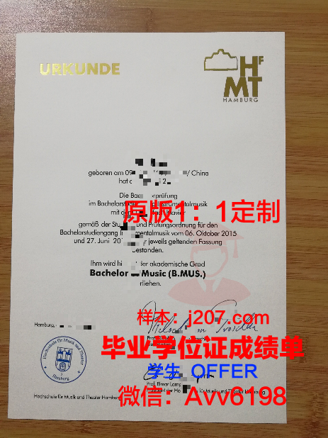 汉堡大学毕业证等级(汉堡大学本科)
