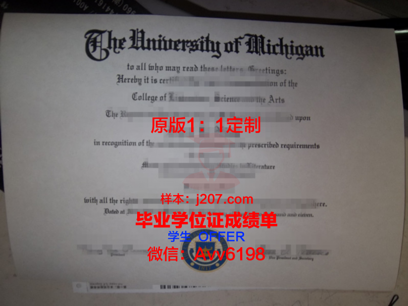高中毕业证学历编号(高中毕业证学历编号怎么查)