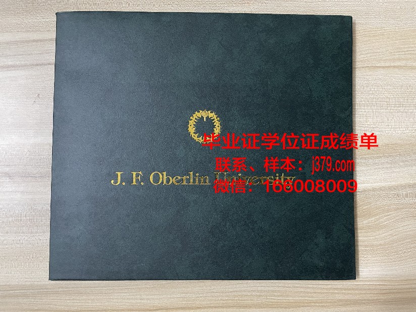 巴黎东部马恩－拉瓦雷大学工程师学院毕业证高清图(马恩拉瓦雷大学排名)