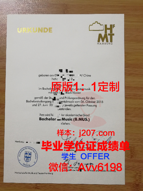 汉堡大学成绩单怎么打印(汉堡大学本科申请)