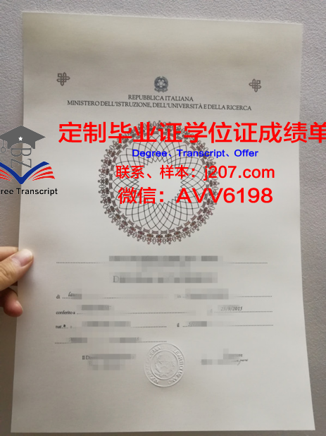 罗彻斯特社区技术学院毕业证认证成绩单Diploma