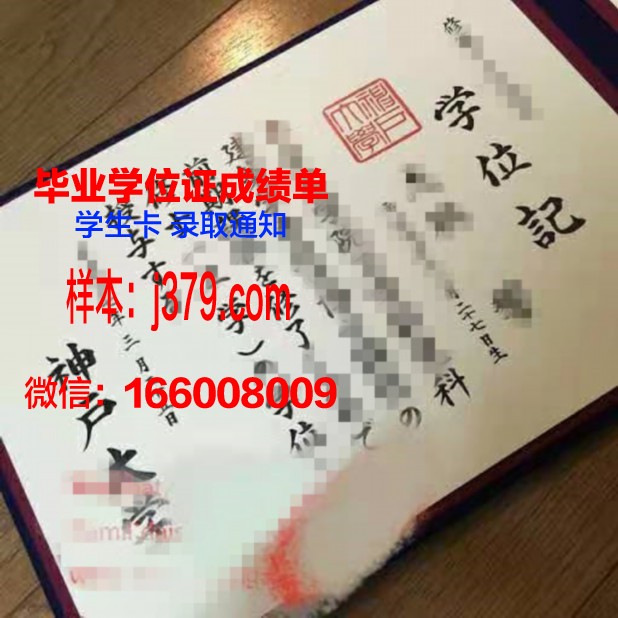 神户国际大学硕士学位证：开启国际职场新篇章