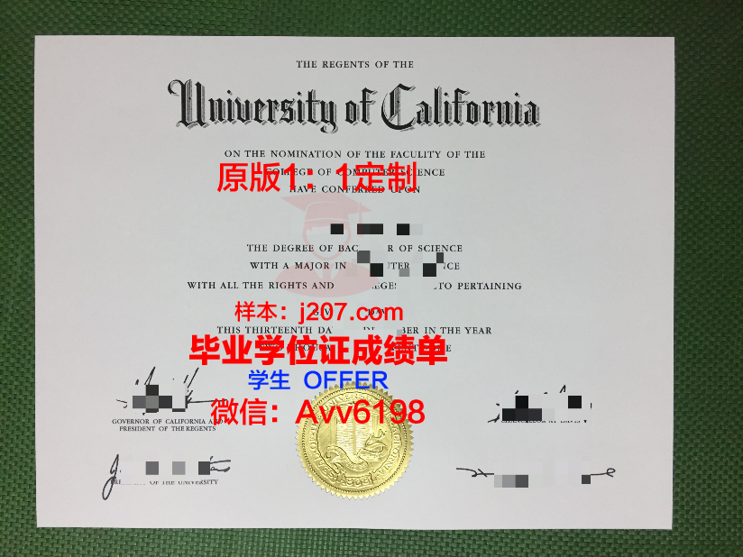 美因毕业证成绩单：一份跨越国度的荣誉证明