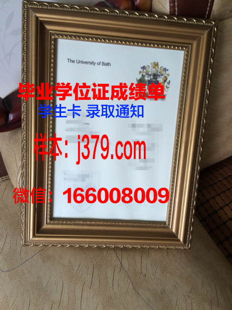 巴斯克大学硕士毕业证书样本(巴斯大学毕业典礼)