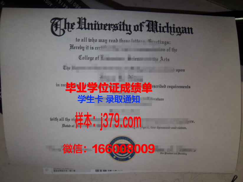 巴西利亚大学毕业证好找工作吗(巴西利亚大学毕业证好找工作吗知乎)