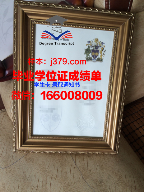 巴斯帝尔大学毕业学位