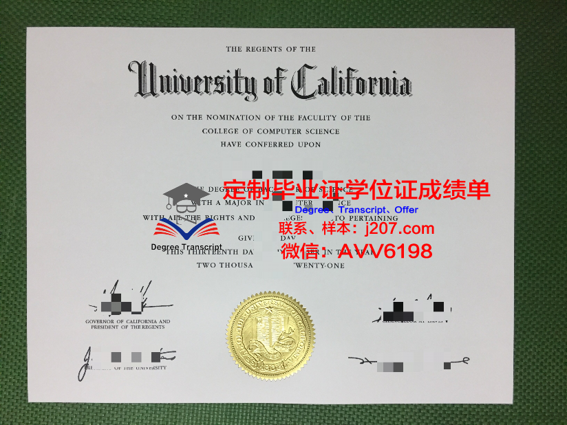 阿姆里奇大学毕业证学位文凭学历Diploma