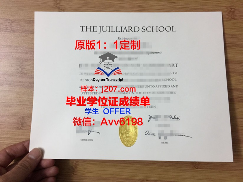 罗斯托夫国立经济大学毕业证是什么样子(罗斯托夫音乐学院好申请吗)