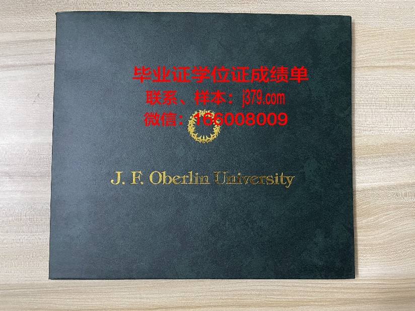 巴黎东部马恩－拉瓦雷大学毕业证书模板(马恩拉瓦雷大学排名)