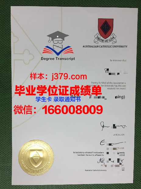 巴拉那天主教大学博士毕业证：一份跨越国度的学术荣耀