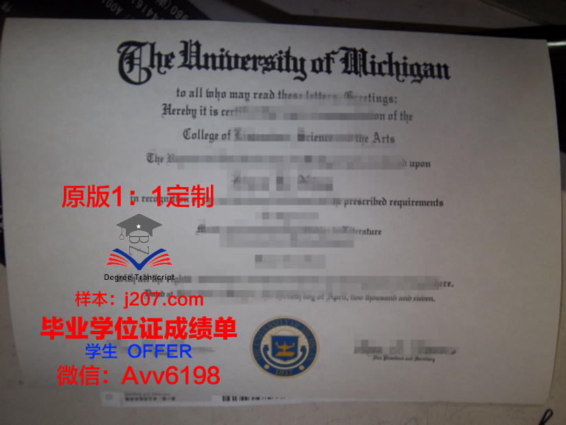 阿姆里奇大学毕业证学位文凭学历Diploma