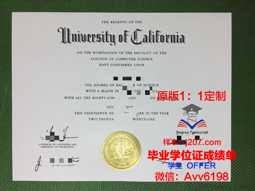 罗诺克学院 diploma 毕业证