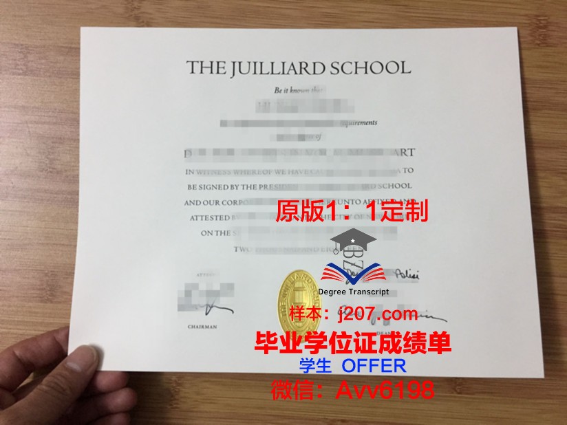 罗斯托夫国立音乐学院毕业证高清图(罗斯托夫国立音乐学院排名)