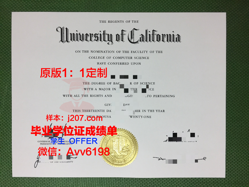 美因茨应用技术大学博士毕业证