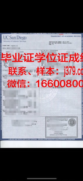 神大成绩单：一份揭示虚拟世界成就的神奇清单