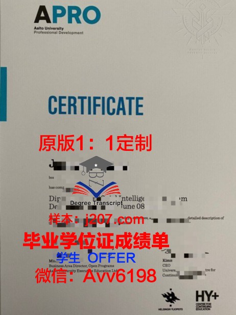 阿尔托大学毕业证书图片(阿尔托大学奖学金好申请吗)