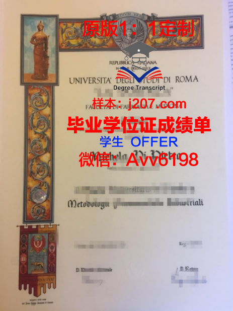 罗马第二大学毕业证是什么模样(罗马第二大学毕业证是什么模样图片)