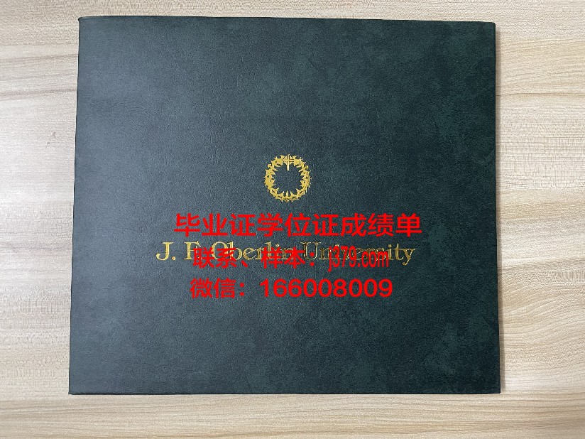 巴格达大学证书成绩单(巴格达大学百度百科)