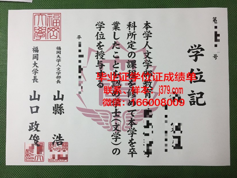 福冈国际大学的毕业证都能做(福冈国际大学的毕业证都能做什么工作)