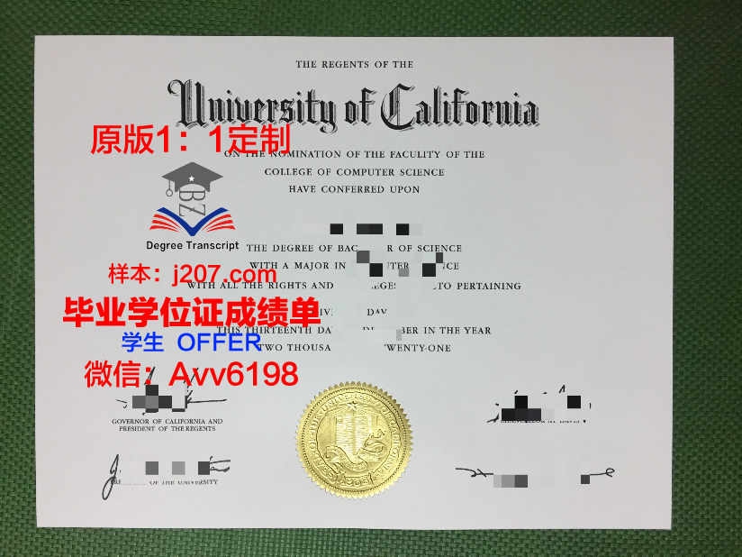 汉恩大学毕业证成绩单 HAN University of Applied Sciences diploma