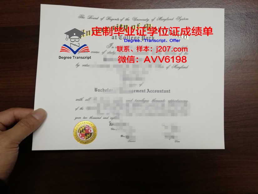 马里兰大学巴尔的摩郡分校的毕业证啥样(马里兰大学本科)