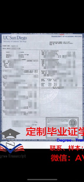 网络成绩单：新时代教育评价的新篇章