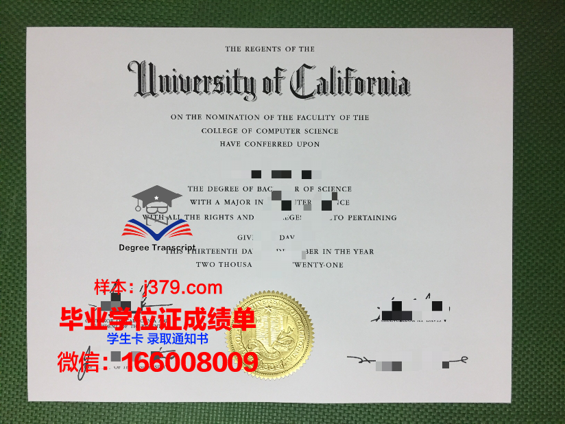 秋明国立大学硕士毕业证：跨越国界的学术荣耀
