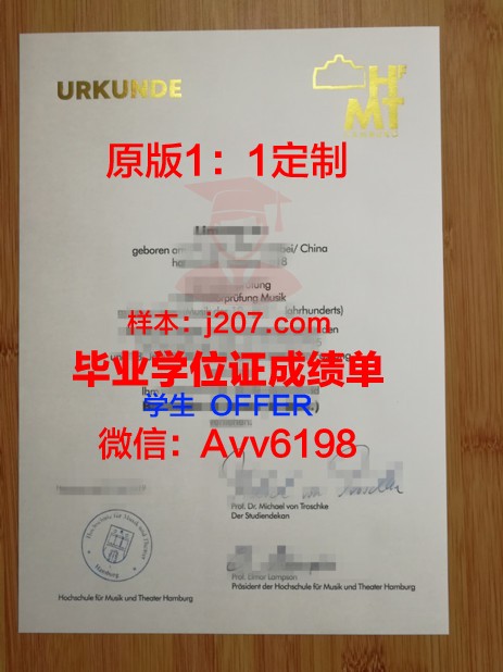汉堡港口城市大学毕业证定制：承载荣誉与梦想的精致艺术品