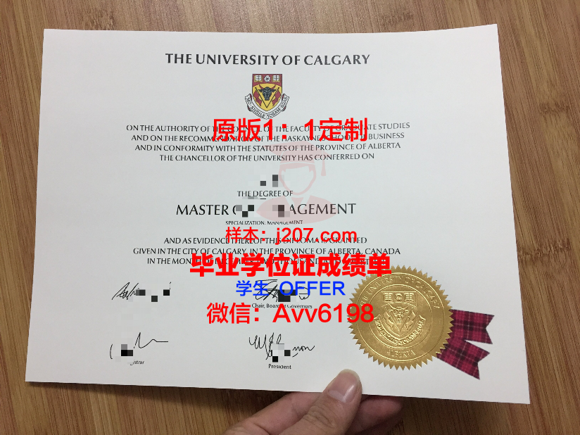 沙希德佐勒菲卡尔·阿里·布托科技学院学位成绩单定制：为学生提供专业服务