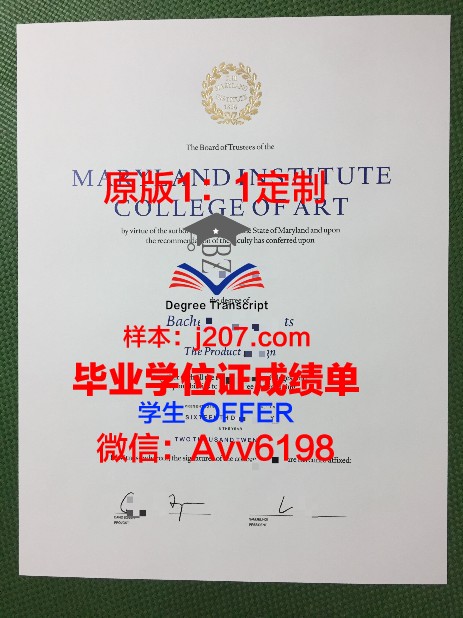 马里兰艺术学院研究生毕业证(马里兰艺术院校)