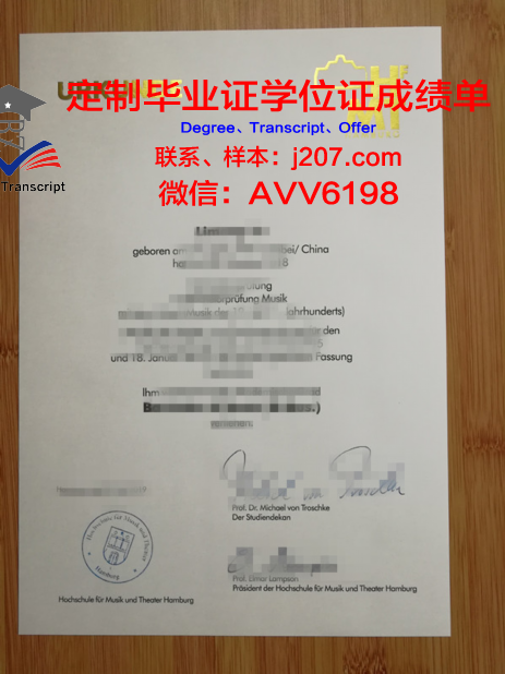 汉堡港口城市大学毕业证图片(汉堡港位置图)