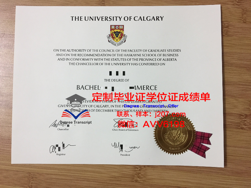 沙希德佐勒菲卡尔·阿里·布托科技学院学位成绩单定制：为学生提供专业服务