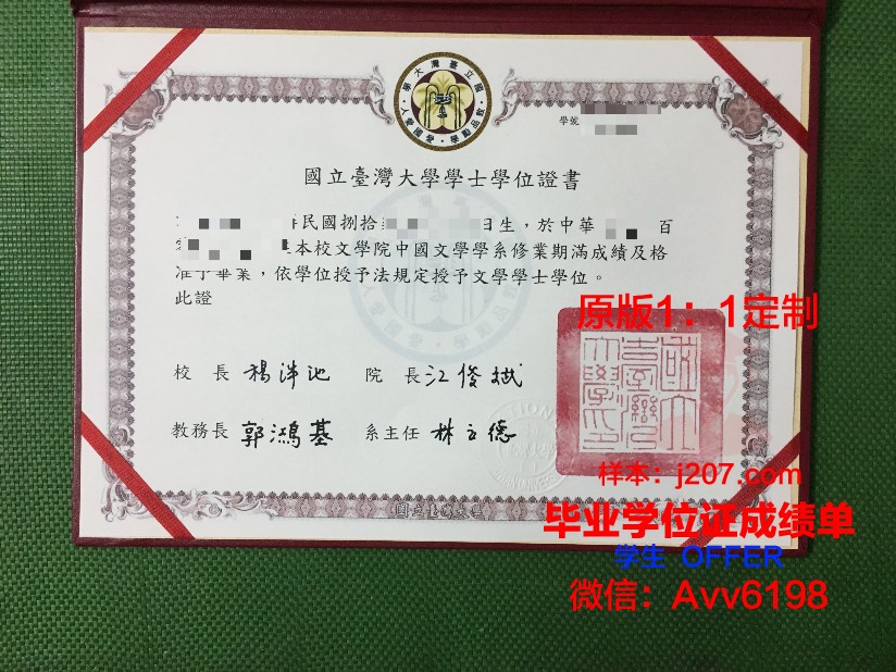 沃罗涅日国立大学毕业证模板(沃罗涅日国立林业大学)