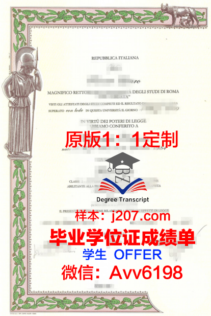 罗马第二大学毕业证是什么模样(罗马第二大学毕业证是什么模样图片)