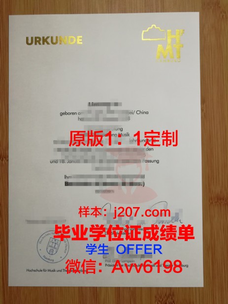 汉堡港口城市大学毕业证图片(汉堡港位置图)