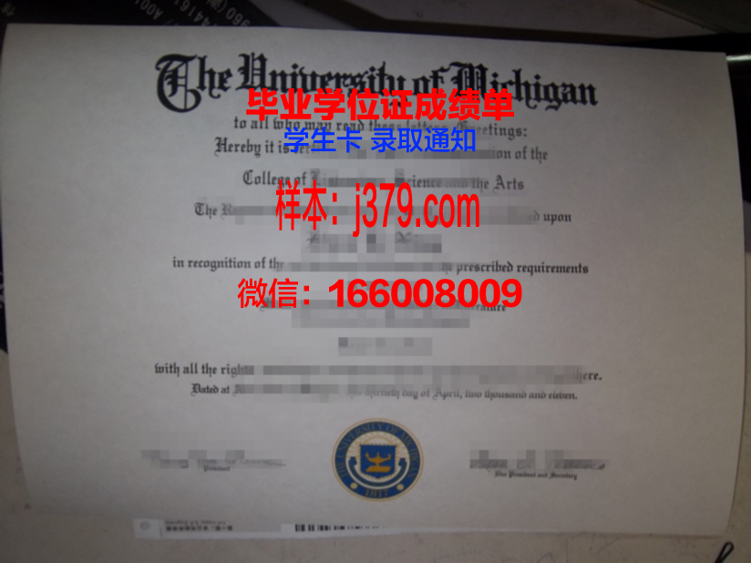 星城大学硕士毕业证：一张纸的重量与价值