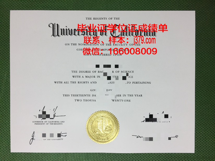明尼苏达大学毕业证图片大全(明尼苏达大学毕业证书)