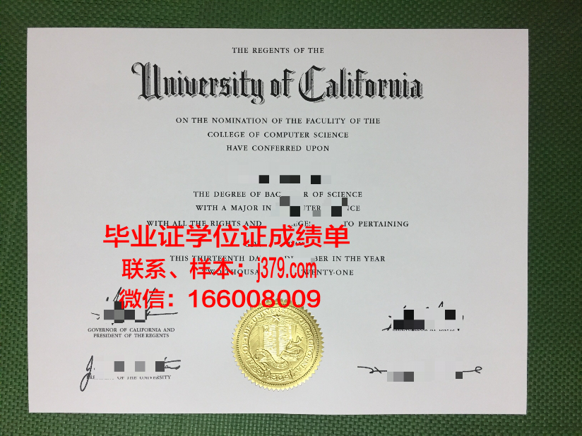 大林大学硕士毕业证：承载荣誉与梦想的通行证