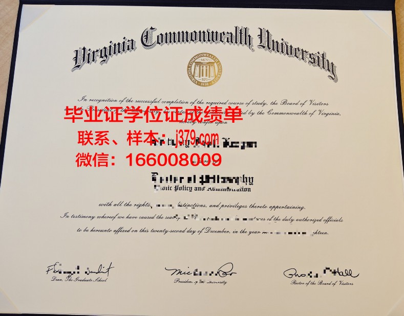 巴拉那联邦大学博士毕业证书