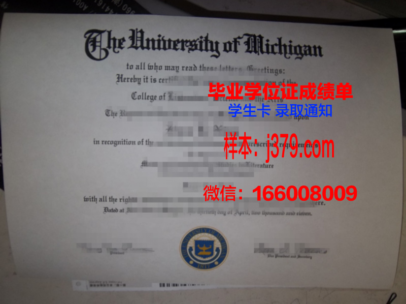 明尼阿波利斯艺术设计学院毕业证：开启艺术生涯的黄金钥匙