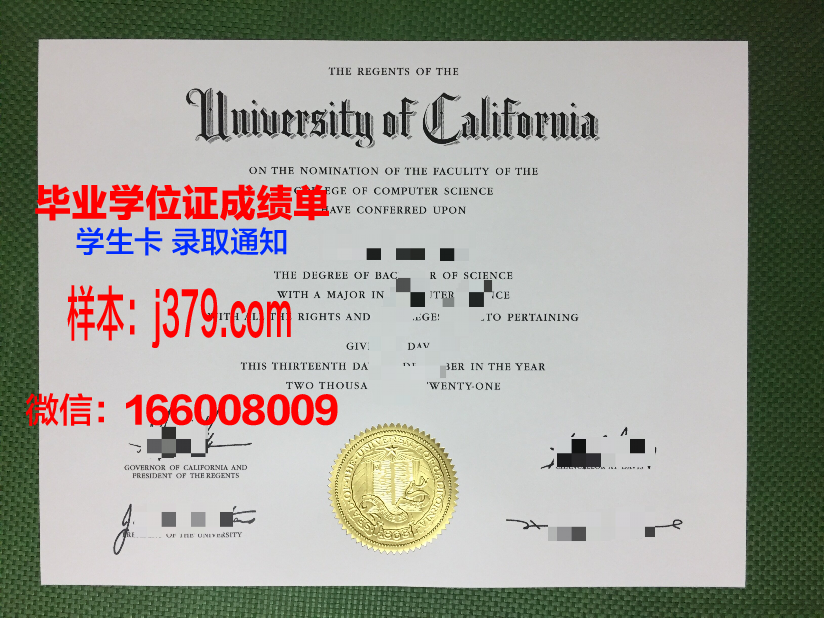 大邱工业大学博士毕业证：一份沉甸甸的荣誉与责任