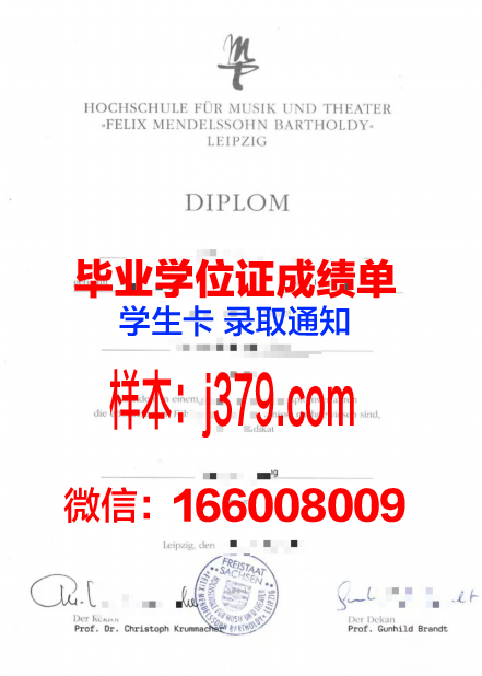莱比锡技术、经济与文化应用技术大学毕业证成绩单：德国教育质量的见证