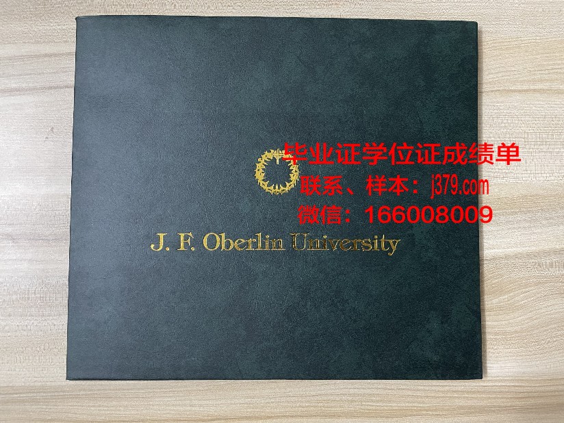 巴斯克大学毕业证书模板(巴斯克地区大学)