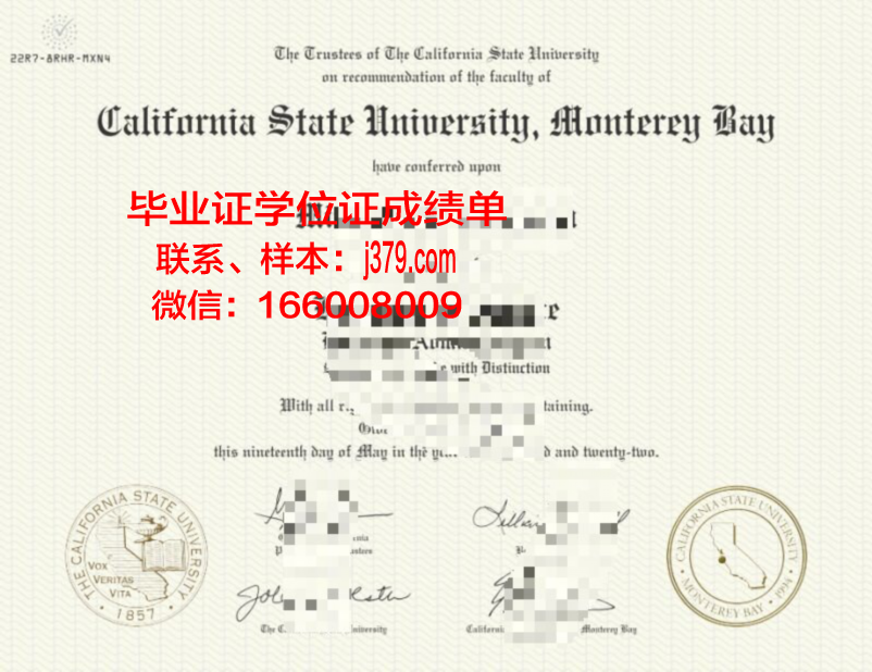 蒙特雷大学毕业证书什么颜色(蒙特雷学费)