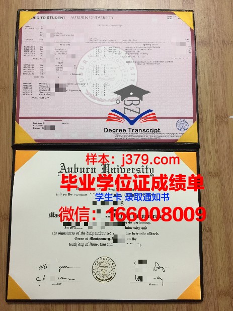 莱奥本矿业大学毕业证案例(奥地利莱奥本矿业大学)